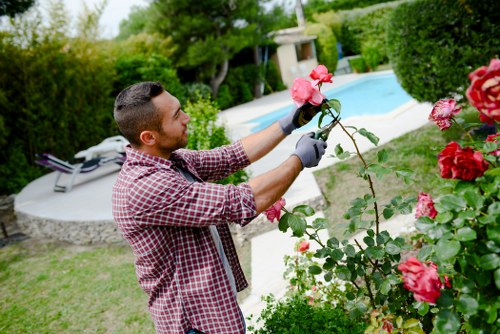 Team member operating a mower on a Kilburn lawn
