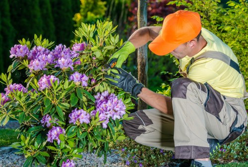 Professional garden clearance in Kilburn with tools and plant debris