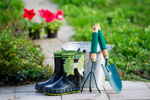 Professionally trimmed hedges in a Kilburn garden