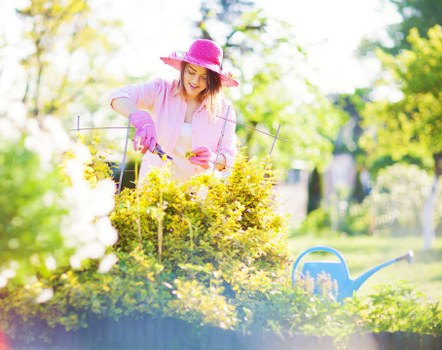 A woman wearing a pink wide-brimmed hat, pink gardening gloves, and a light-colored top is tending to a neatly maintained garden in a residential backyard. She is using small garden tools to trim or prune a vibrant yellow shrub that borders a lush, green lawn area. The foreground features a well-kept flower bed with various plants and a blue watering can resting on the grass. In the background, tall trees with fresh green leaves provide shade and natural scenery, with sunlight filtering through the foliage. The garden layout includes a combination of lawn, flower beds, and shrub borders, with tidy hedges and garden elements suggesting regular outdoor maintenance, typical of professional gardening services in Kilburn. The outdoor space appears bright and inviting under recent weather conditions, emphasizing the importance of proper lawn and plant care in the local area. This scene exemplifies the type of landscaping and gardening work offered by Lawn Mowing Kilburn, aiming to enhance residential outdoor environments through professional lawn care and garden maintenance services.